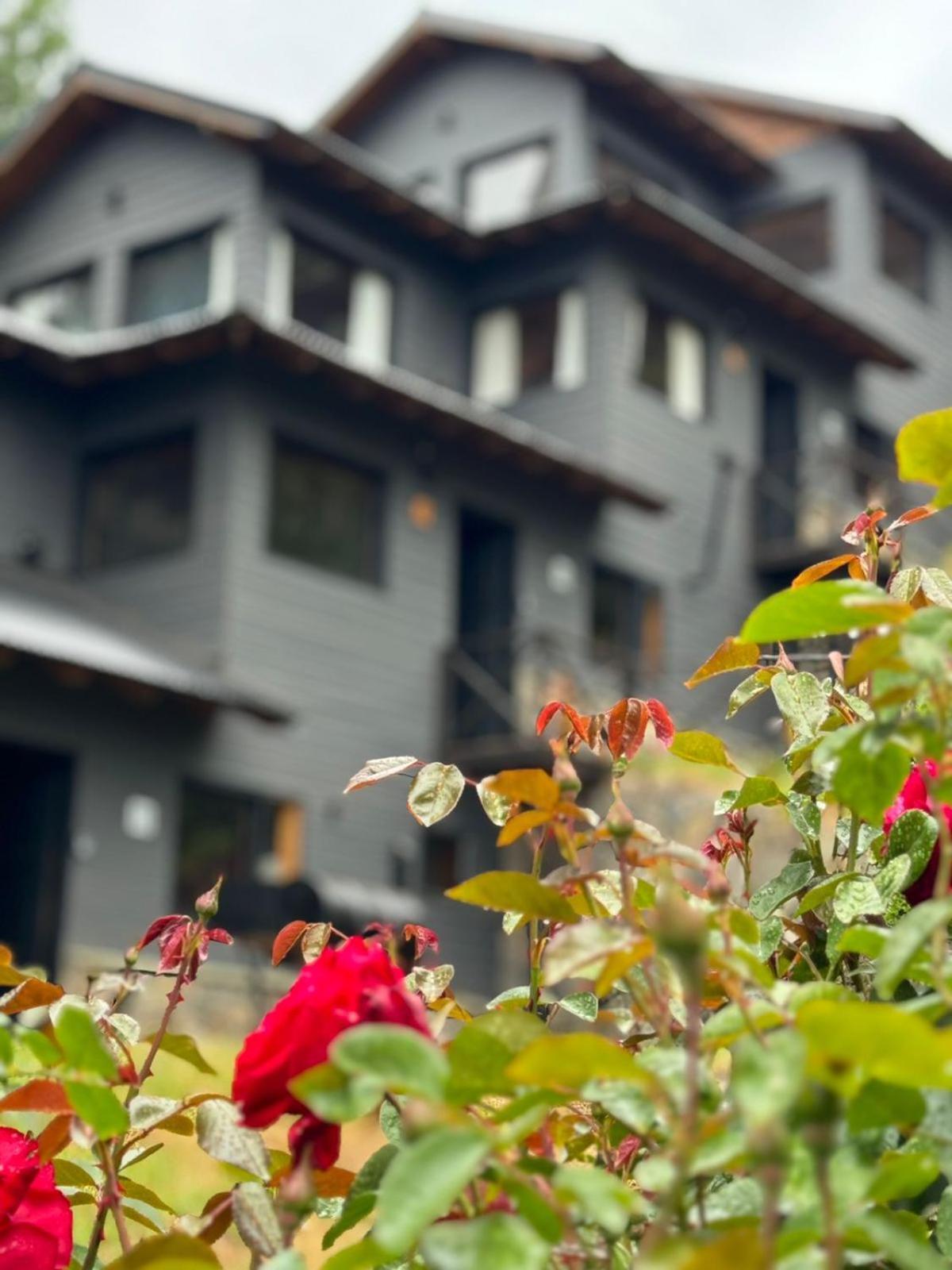 Villa Huilen De Bandurrias San Martín de los Andes Exterior foto